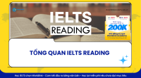 Tổng quan IELTS Reading